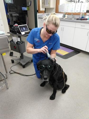 IMG 20180904 170201483 (1)